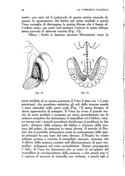 La chirurgia plastica rivista della Societa italiana di chirurgia riparatrice plastica ed estetica