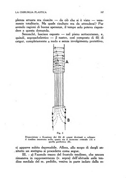 La chirurgia plastica rivista della Societa italiana di chirurgia riparatrice plastica ed estetica