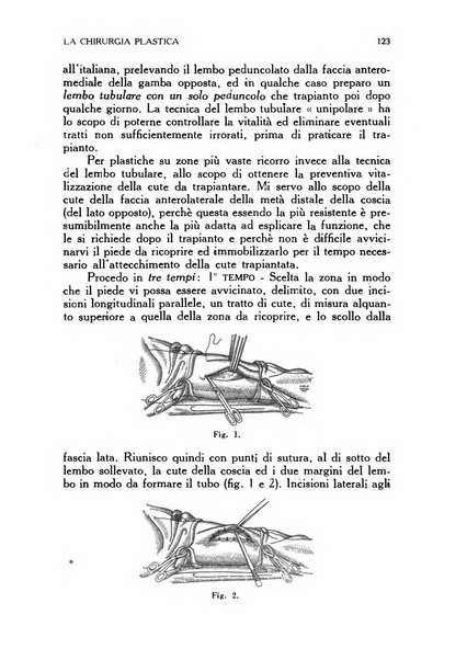 La chirurgia plastica rivista della Societa italiana di chirurgia riparatrice plastica ed estetica