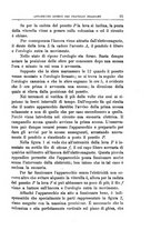 giornale/RML0026666/1880-1882/unico/00000435