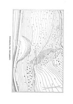 giornale/RML0026679/1907/unico/00000018