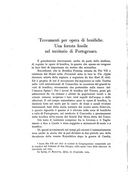 Memorie storiche forogiuliesi