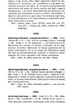 giornale/RML0026702/1913/unico/00000382