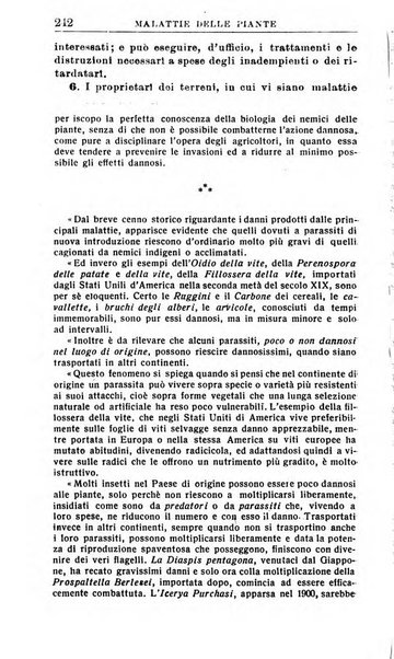 Il dizionario penale rassegna completa di giurisprudenza e dottrina. Parte seconda, Leggi speciali