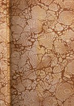 giornale/RML0026702/1918/unico/00000003