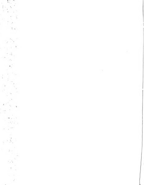 Rassegna della stampa tecnica tedesca