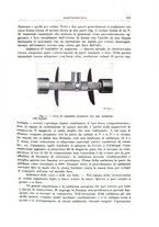 giornale/RML0026708/1941/V.1/00000391