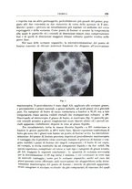 giornale/RML0026708/1941/V.1/00000619