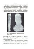 giornale/RML0026708/1941/V.1/00000925