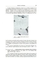 giornale/RML0026708/1941/V.1/00001051