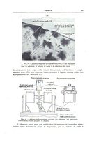 giornale/RML0026708/1941/V.2/00000051