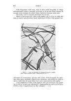 giornale/RML0026708/1941/V.2/00000062