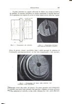 giornale/RML0026708/1941/V.2/00000199
