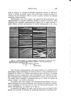 giornale/RML0026708/1941/V.2/00000251