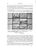 giornale/RML0026708/1941/V.2/00000252
