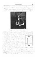 giornale/RML0026708/1941/V.2/00000359