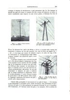 giornale/RML0026708/1941/V.2/00000367