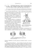 giornale/RML0026708/1941/V.2/00000387