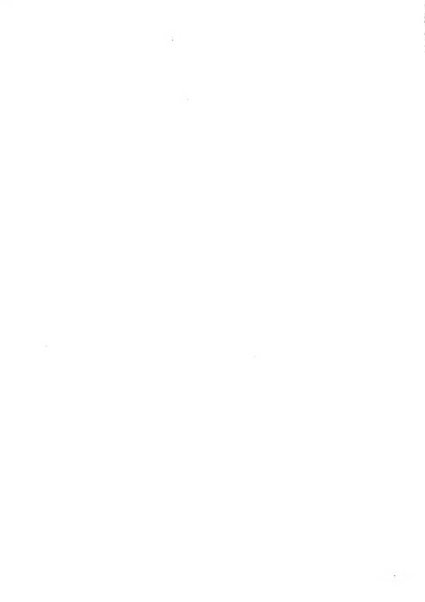 Rassegna della stampa tecnica tedesca