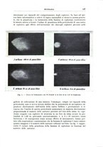 giornale/RML0026708/1941/V.2/00000589