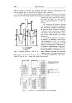 giornale/RML0026708/1941/V.2/00000738