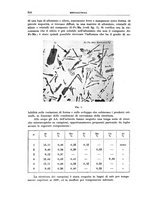 giornale/RML0026708/1941/V.2/00000740