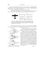 giornale/RML0026708/1941/V.2/00000884