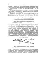 giornale/RML0026708/1941/V.2/00000896