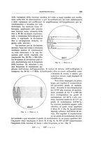 giornale/RML0026708/1941/V.2/00000931
