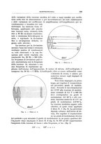 giornale/RML0026708/1941/V.2/00000931