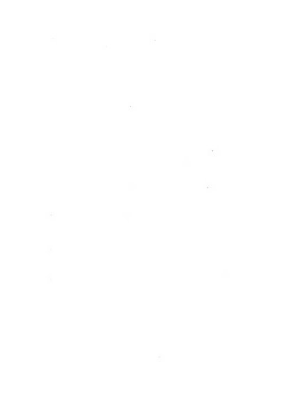 Rassegna della stampa tecnica tedesca