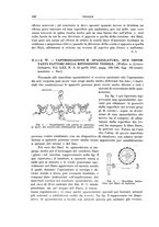 giornale/RML0026708/1941/V.2/00000994