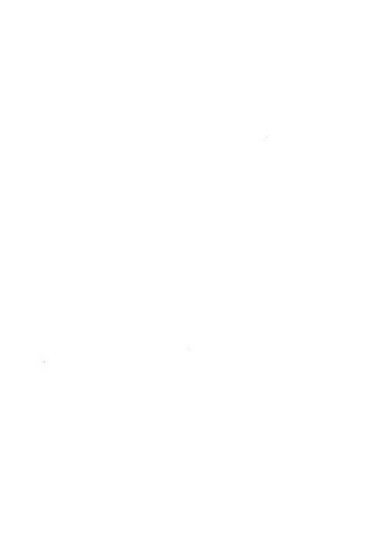 Rassegna della stampa tecnica tedesca