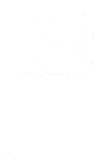 Rassegna della stampa tecnica tedesca