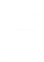 giornale/RML0026708/1941/V.2/00001090