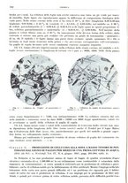 giornale/RML0026708/1941/V.3/00000032