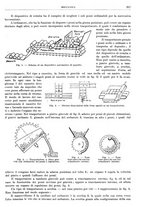 giornale/RML0026708/1941/V.3/00000213