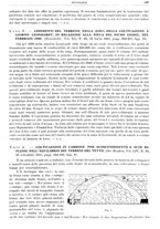 giornale/RML0026708/1941/V.3/00000381