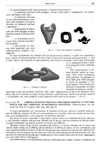 giornale/RML0026708/1941/V.3/00000541