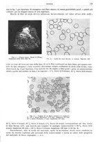 giornale/RML0026708/1941/V.3/00000675