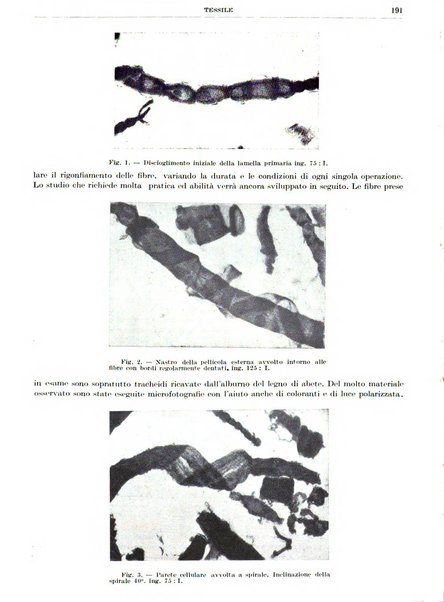 Rassegna della stampa tecnica tedesca