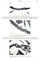 giornale/RML0026708/1941/V.3/00000687