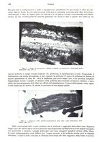 giornale/RML0026708/1941/V.3/00000688