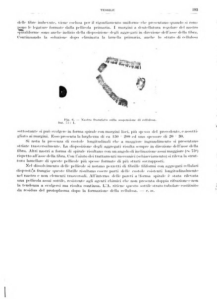 Rassegna della stampa tecnica tedesca