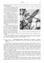 giornale/RML0026708/1942/unico/00000055