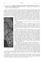 giornale/RML0026708/1942/unico/00000344