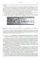 giornale/RML0026708/1942/unico/00000347