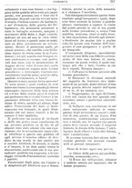 giornale/RML0026742/1904-1905/unico/00000441