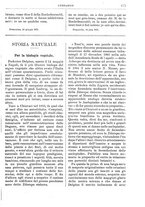 giornale/RML0026742/1904-1905/unico/00000583