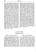 giornale/RML0026742/1906-1907/unico/00000350